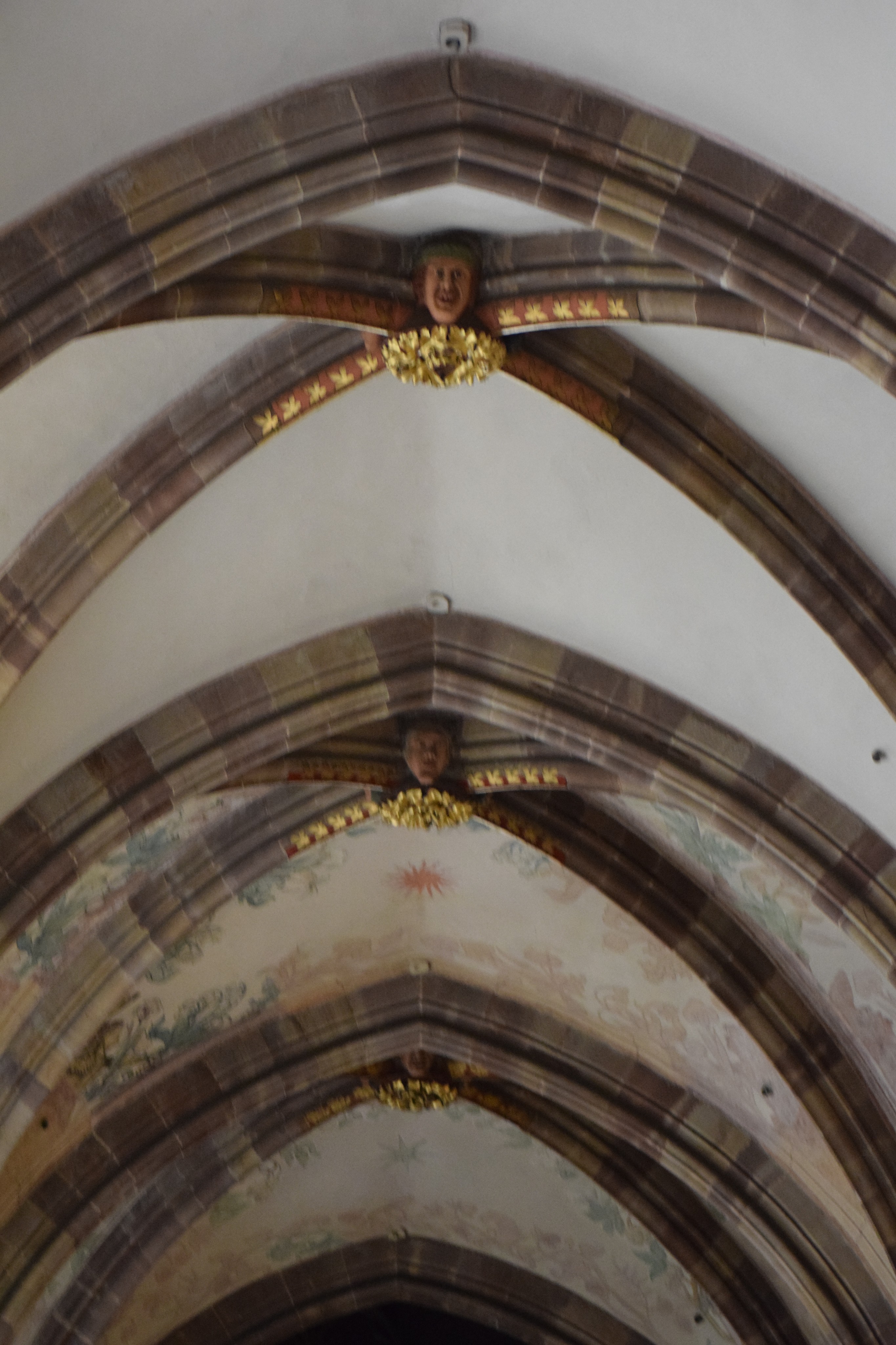 Photo 66
